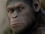 Принято решение по запуску сиквела «Восстания планеты обезьян»
