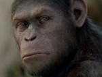 Сиквел «Восстания планеты обезьян» обзавелся датой премьеры