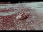 Русский трейлер фильма